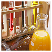 個室居酒屋 6年4組:理科のお勉強